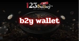 b2y wallet